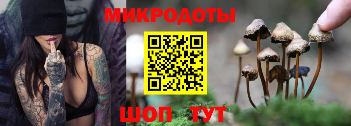 Псилоцибиновые грибы Psilocybe  закладки  Вход с VPN  Наро-Фоминск  Галлюциногенные грибы Psilocybine cubensis 